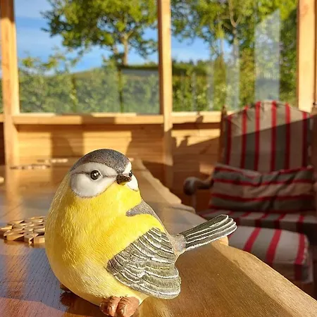 Agrodomki-okej Dom Belweder 펜션