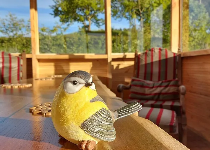 Agrodomki-okej Dom Belweder Dom wakacyjny